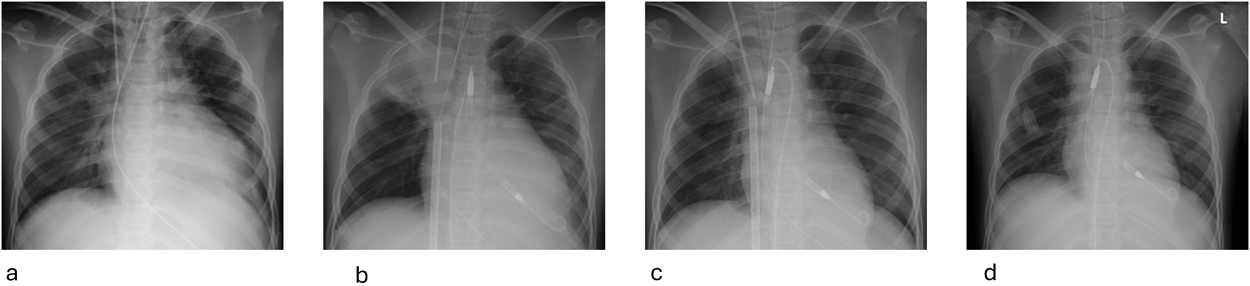 Journal of JCIC 10(1): 8-13 (2025)