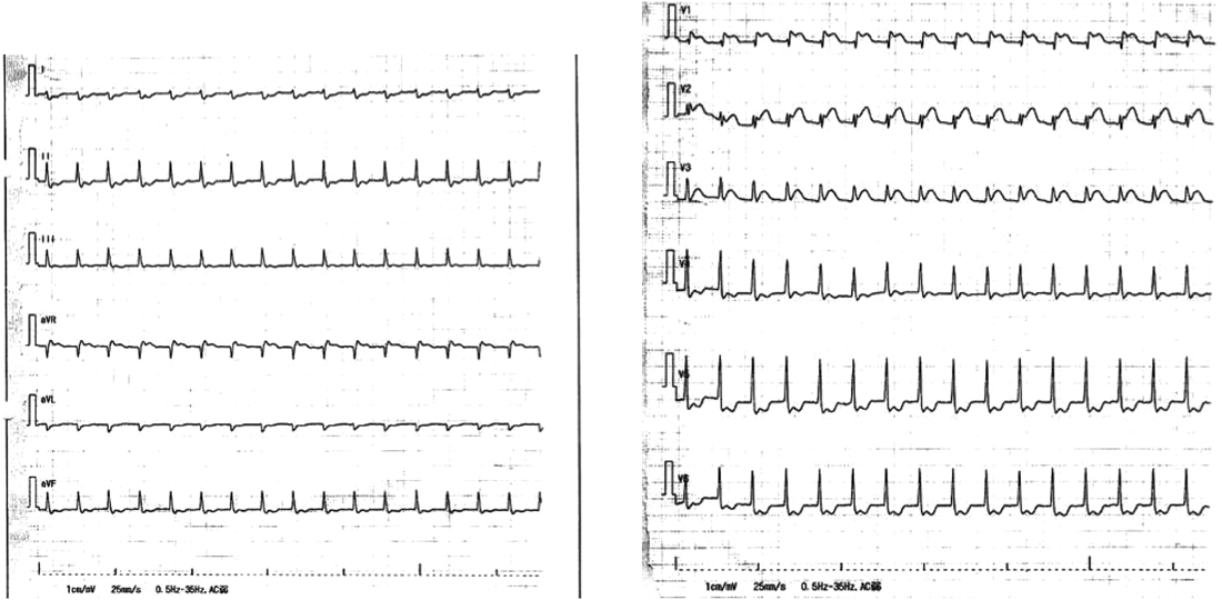 Journal of JCIC 10(1): 8-13 (2025)