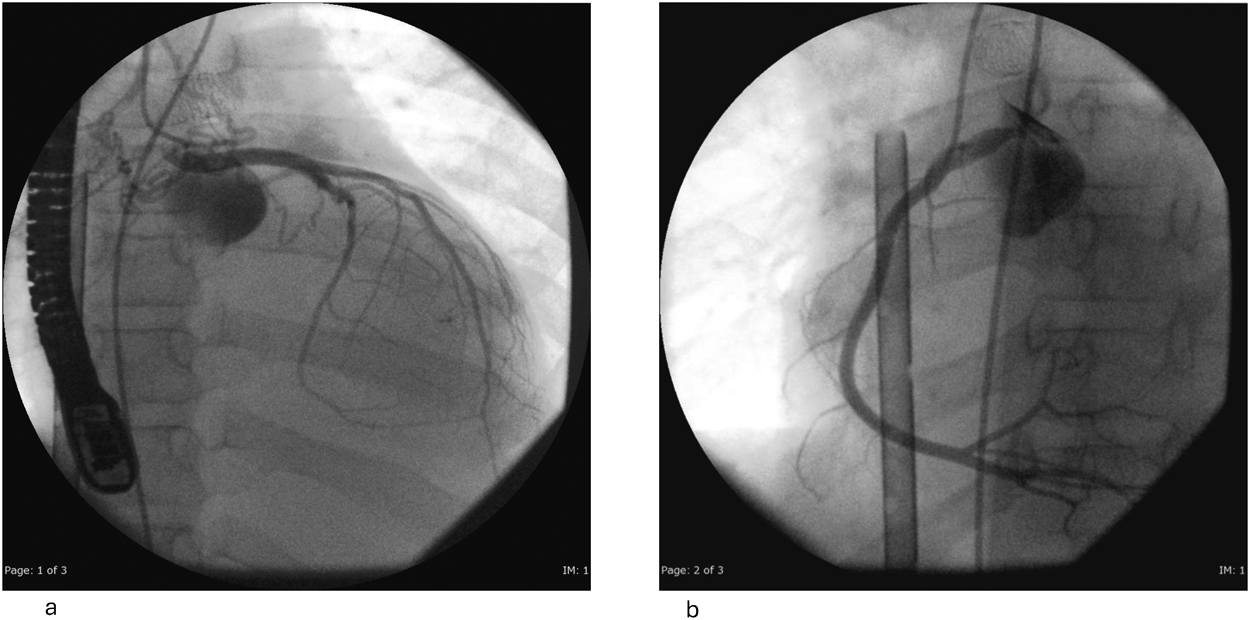 Journal of JCIC 10(1): 8-13 (2025)