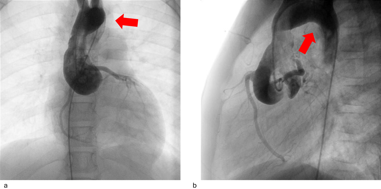 Journal of JCIC 10(1): 8-13 (2025)
